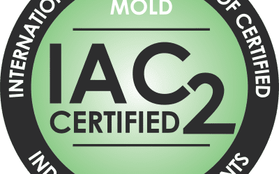 Why Mold Inspections and Testing Matter: Expertise You Can Trust